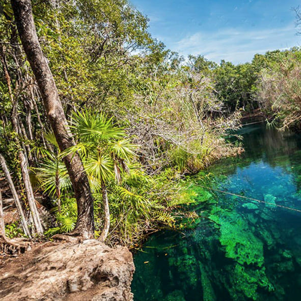 Cenote Escondido (Mayan Blue)